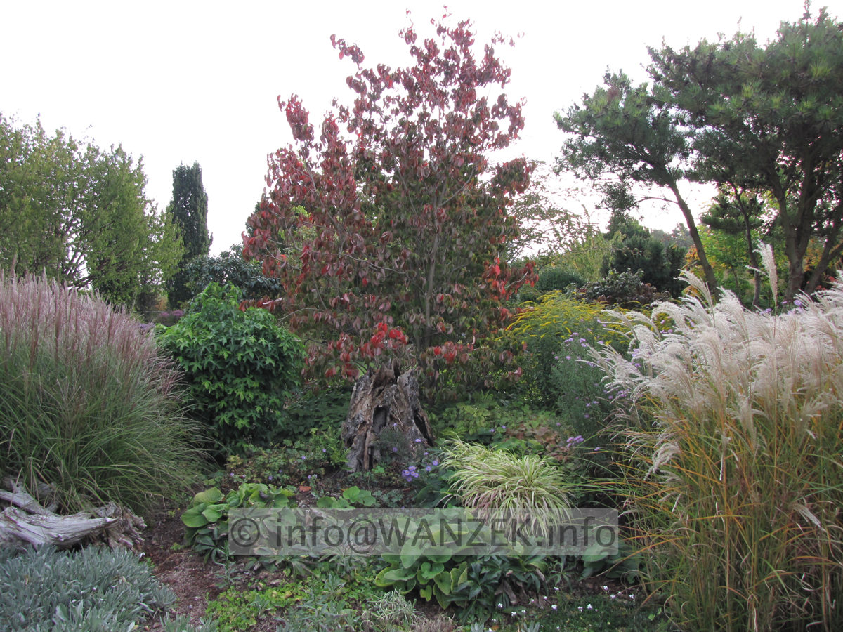 Stimmung Herbst 07.JPG